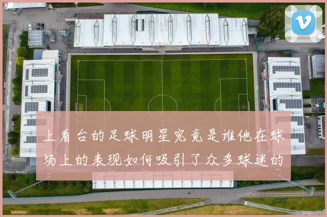 上看台的足球明星究竟是谁他在球场上的表现如何吸引了众多球迷的目光
